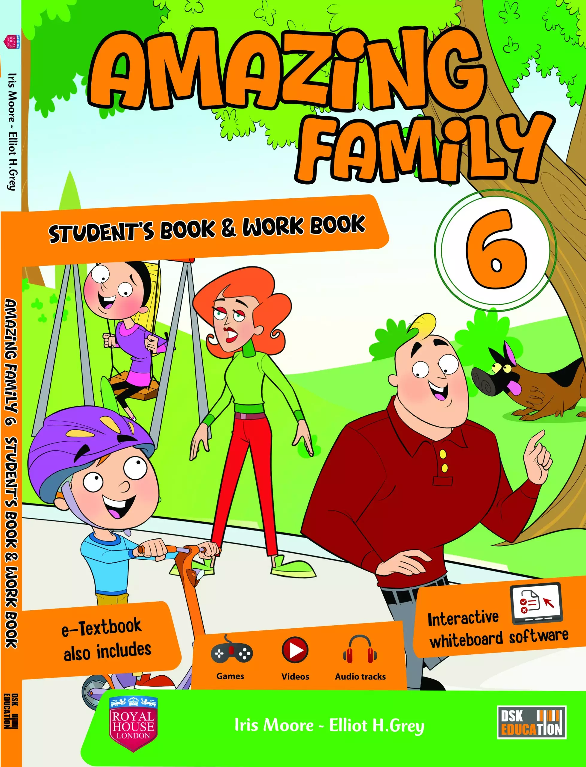 AMAZING FAMILY N°6 - TEACHER'S GUIDE